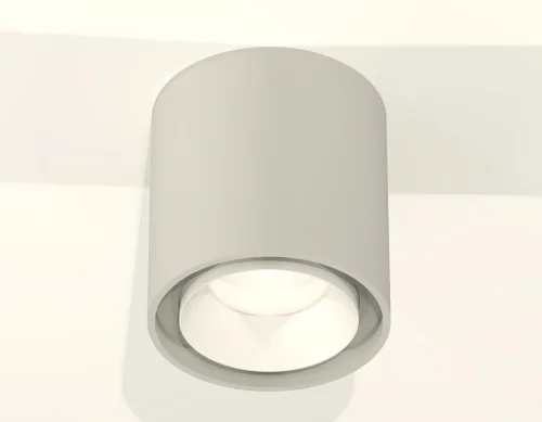Светильник накладной Techno spot XS7724001 Ambrella light серый 1 лампа, основание серое в стиле хай-тек современный круглый фото 2