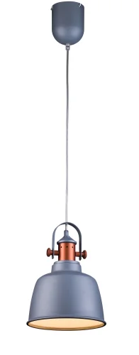 Светильник подвесной лофт INDUSTRIAL 1820.1 SAND SILVER Lucia Tucci чёрный 1 лампа, основание серое серебряное в стиле современный лофт 