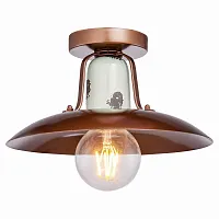 Светильник потолочный Vermilion GRLSP-8162 Lussole коричневый 1 лампа, основание коричневое голубое в стиле лофт 