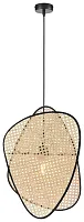 Светильник подвесной Palma WE520.02.716 Wertmark бежевый 1 лампа, основание чёрное в стиле современный кантри 