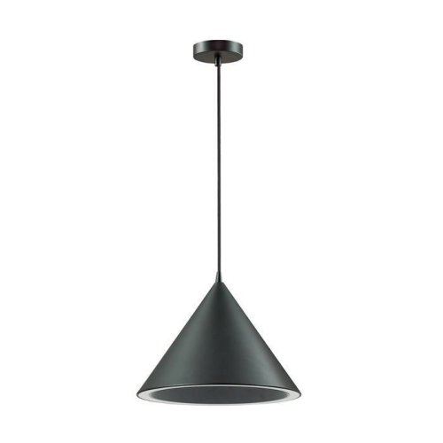 Светильник подвесной LED Lenny 3724/24L Lumion чёрный 1 лампа, основание чёрное в стиле современный 