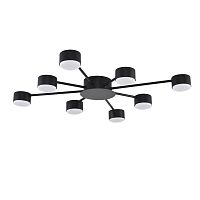 Светильник потолочный Torina 8344/8C Lumion чёрный на 8 ламп, основание чёрное в стиле минимализм 