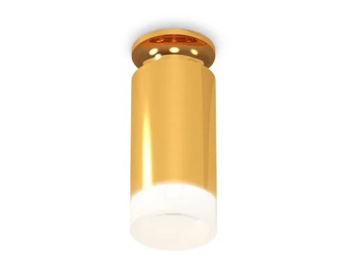 Светильник накладной Techno spot XS6327082 Ambrella light золотой жёлтый 1 лампа, основание золотое жёлтое в стиле современный круглый