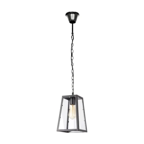 Светильник подвесной LOFT1127 LOFT IT прозрачный на 1 лампу, основание чёрное в стиле лофт 