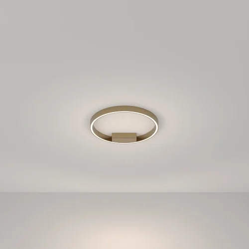 Светильник потолочный LED Rim MOD058CL-L25BSK Maytoni латунь 1 лампа, основание латунь в стиле современный хай-тек минимализм кольца фото 4