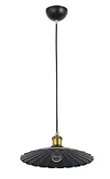 Светильник подвесной лофт Marco E 1.3.P3 B Arti Lampadari чёрный 1 лампа, основание чёрное в стиле лофт 