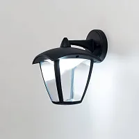 Настенный светильник LED CLU04W2 Citilux уличный IP54 чёрный 1 лампа, плафон прозрачный в стиле современный LED