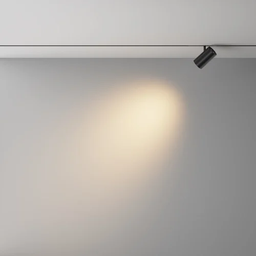 Трековый светильник Фокус / Focus Led Exility X (Эксилити Х) 2700-6000K 12Вт 36° Dim Dali2 TR243-4-12WTW-DD2-B Maytoni чёрный для шинопроводов серии Трековая система EXILITY X (Эксилити Х) чёрный фото 4 Трековый светильник Фокус / Focus Led Exility X (Эксилити Х) 2700-6000K 12Вт 36° Dim Dali2 TR243-4-12WTW-DD2-B Maytoni чёрный для шинопроводов серии Трековая система EXILITY X (Эксилити Х) чёрный фото 4