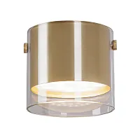 Светильник накладной Lazio A5366PL-1SG Arte Lamp золотой прозрачный на 1 лампу, основание золотое в стиле современный 