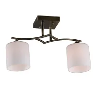 Люстра потолочная Pisticci OML-55317-02 Omnilux белая на 2 лампы, основание бронзовое в стиле современный 