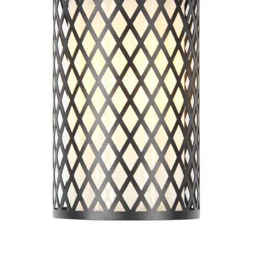 Потолочный светильник Barrel 3019-1P Favourite уличный IP44 чёрный 1 лампа, плафон белый в стиле современный E27 фото 2