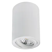Светильник накладной Sentry A1566PL-1WH Arte Lamp белый на 1 лампу, основание белое в стиле современный трубочки круглый