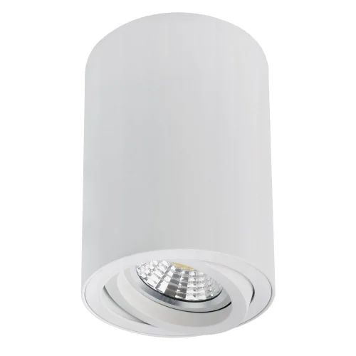 Светильник накладной Sentry A1566PL-1WH Arte Lamp белый на 1 лампу, основание белое в стиле современный трубочки круглый
