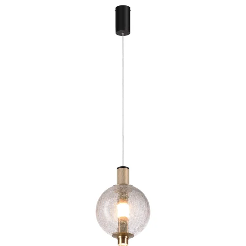Светильник подвесной LED Kolbe 4316-1P Favourite прозрачный на 1 лампу, основание чёрное в стиле современный 