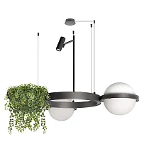 Светильник подвесной LED Jardin 10121/2 Dark grey LOFT IT белый 2 лампы, основание антрацит чёрное в стиле арт-деко флористика 