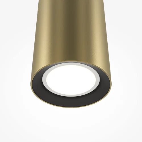 Светильник подвесной Pro Focus MOD161PL-01G1 Maytoni золотой 1 лампа, основание золотое в стиле современный трубочки фото 3