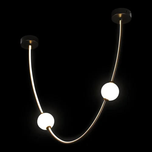 Светильник подвесной LED Embrace 10242/600 Black LOFT IT белый 1 лампа, основание чёрное в стиле современный  фото 2