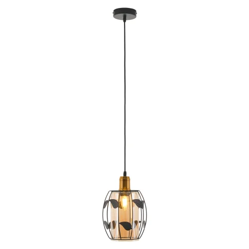 Светильник подвесной Huston MR1690-1P MyFar янтарный 1 лампа, основание чёрное в стиле современный флористика  фото 2