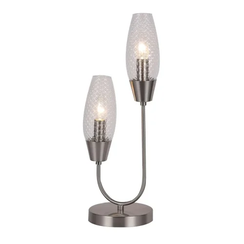 Настольная лампа Desire 10165/2 Nickel Escada прозрачная 2 лампы, основание никель металл в стиле современный  фото 2