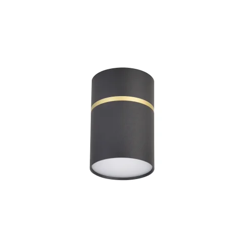 Светильник накладной Dunia 3068-1C Favourite чёрный 1 лампа, основание чёрное в стиле модерн круглый фото 3