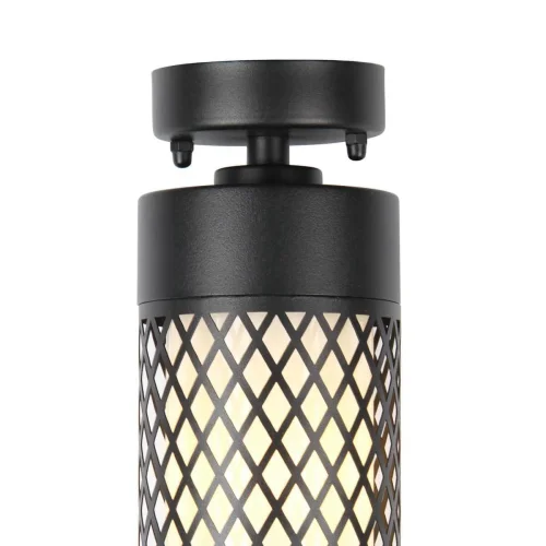 Потолочный светильник Barrel 3019-1P Favourite уличный IP44 чёрный 1 лампа, плафон белый в стиле современный E27 фото 3