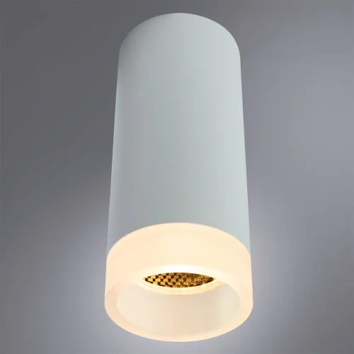 Светильник накладной Ogma A5556PL-1WH Arte Lamp белый 1 лампа, основание белое в стиле современный круглый фото 2