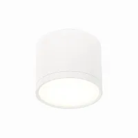 Светильник накладной LED Rene ST113.542.09 ST-Luce белый 1 лампа, основание белое в стиле хай-тек круглый