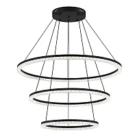 Светильник подвесной LED Euclidics SL1018.403.03 ST-Luce прозрачный на 1 лампу, основание чёрное в стиле хай-тек кольца