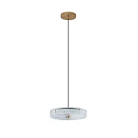 Светильник подвесной LED Viro L 1.5.28 G Arti Lampadari прозрачный на 1 лампу, основание золотое в стиле классический 