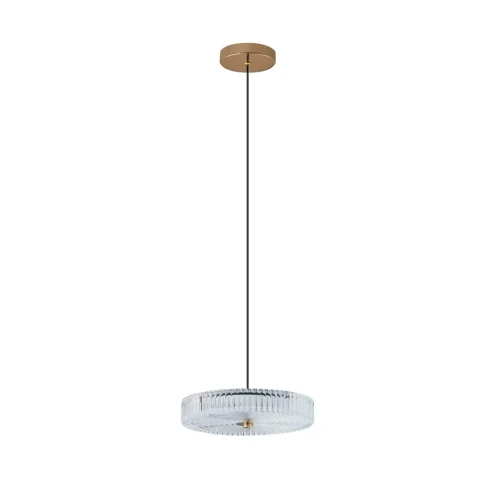 Светильник подвесной LED Viro L 1.5.28 G Arti Lampadari прозрачный на 1 лампу, основание золотое в стиле классический 
