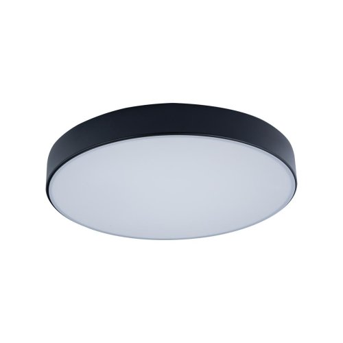 Светильник потолочный LED Axel 10002/24 Black LOFT IT белый 1 лампа, основание чёрное в стиле модерн 