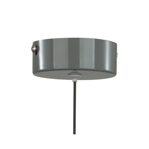 Светильник подвесной LED Globe 6569/6L Lumion серый на 1 лампу, основание белое в стиле современный фото 8