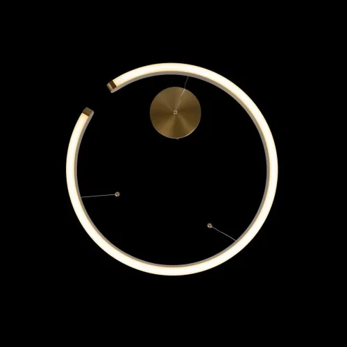Светильник подвесной LED Ring 10013L LOFT IT латунь на 1 лампу, основание латунь в стиле хай-тек кольца фото 6