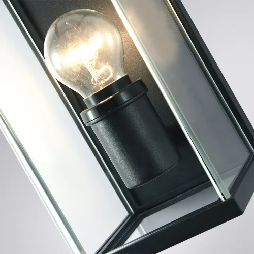 Настенный светильник Pot A1631AL-1BK Arte Lamp уличный IP54 чёрный 1 лампа, плафон прозрачный в стиле современный E27 фото 2