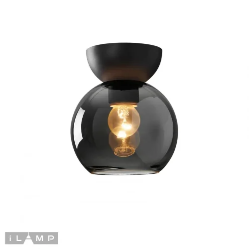 Светильник потолочный Mono C6079-1 BK+SM iLamp чёрный 1 лампа, основание чёрное в стиле современный  фото 2