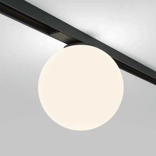 Трековый светильник LED Magnetic track system Basity TR177-1-5WTW-B Maytoni белый для шинопроводов серии Magnetic track system Basity чёрный фото 4