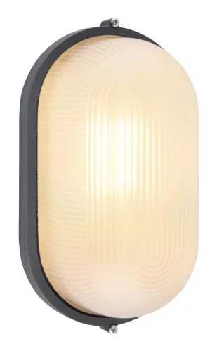 Настенный светильник Cassi 31317 Globo уличный IP44 антрацит 1 лампа, плафон белый в стиле лофт современный E27