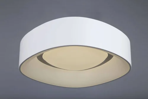 Люстра потолочная LED Enfield OML-45207-51 Omnilux белая на 1 лампа, основание белое в стиле хай-тек  фото 3