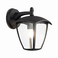 Настенный светильник Sivino SL081.411.01 ST-Luce уличный IP44 чёрный 1 лампа, плафон прозрачный в стиле современный E27