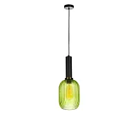 Светильник подвесной Iris 2072-A+BL LOFT IT зелёный 1 лампа, основание чёрное в стиле лофт выдувное