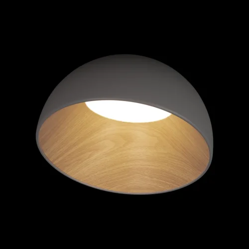 Светильник потолочный LED Egg 10197/350 Grey LOFT IT белый 1 лампа, основание серое в стиле современный  фото 2