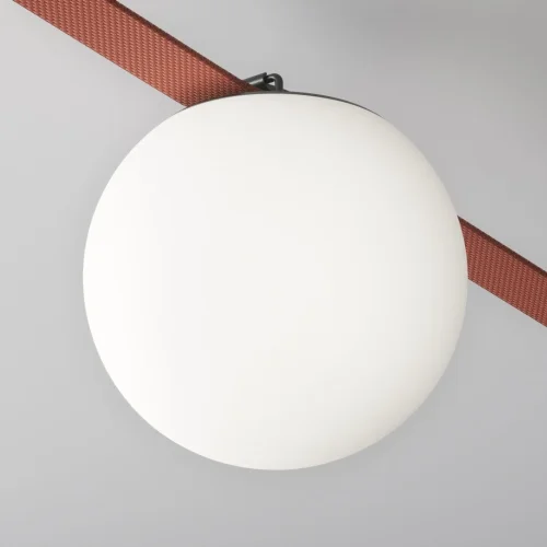 Подвесной светильник Luna 4000K 10Вт 80° Pendant system Parity TR125B-10W4K-B Maytoni белый для шинопроводов серии Pendant system Parity чёрный фото 5