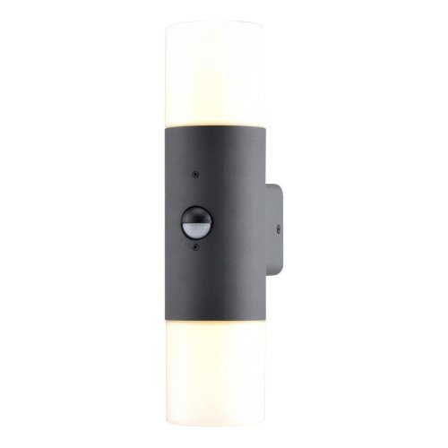 Настенный светильник 534/2A Escada уличный IP44 серый 2 лампы, плафон белый в стиле современный E27