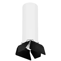 Светильник накладной Rullo R6496487 Lightstar чёрный белый 1 лампа, основание белое в стиле хай-тек круглый
