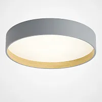 Светильник потолочный NETTY D50 Grey 224018-23 ImperiumLoft белый на 1 лампу, основание серое в стиле современный скандинавский минимализм 