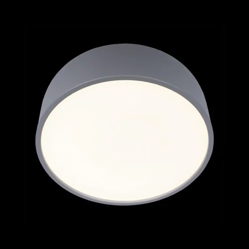 Светильник потолочный LED Axel 10201/350 Grey LOFT IT белый серый 1 лампа, основание серое в стиле современный  фото 4