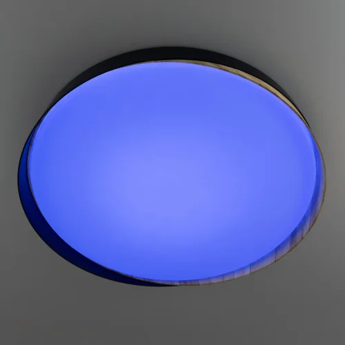 Светильник потолочный LED RGB с пультом Bonny CL754451G Citilux белый 1 лампа, основание чёрное в стиле современный хай-тек круглый с пультом фото 6
