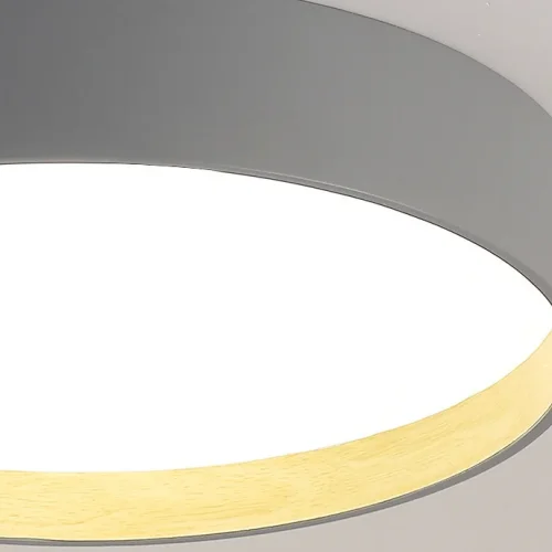 Светильник потолочный NETTY D40 Black 224021-23 ImperiumLoft белый на 1 лампу, основание чёрное в стиле современный скандинавский минимализм фото 2