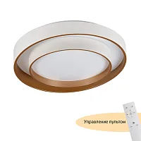 Люстра потолочная LED с пультом Rhea MR9161-CL MyFar белая на 1 лампу, основание белое в стиле современный хай-тек 