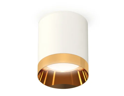 Светильник накладной Techno spot XS6301024 Ambrella light белый 1 лампа, основание белое в стиле современный круглый